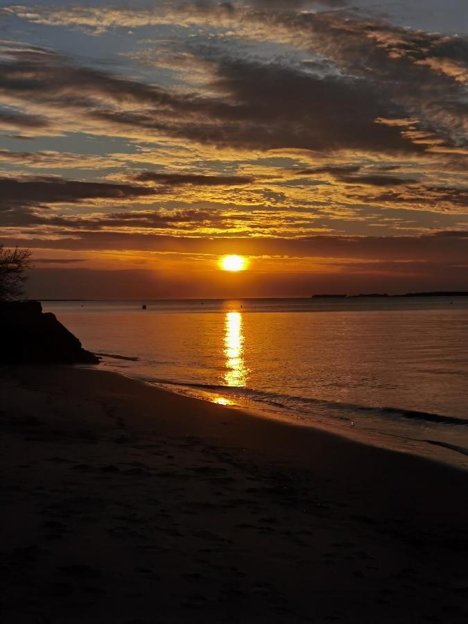 Gîte 2 à 12 personnes La côte d'Argent plage à pied La Tremblade Exterior foto